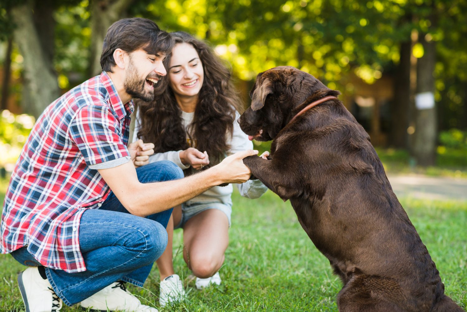 dog meeting two people